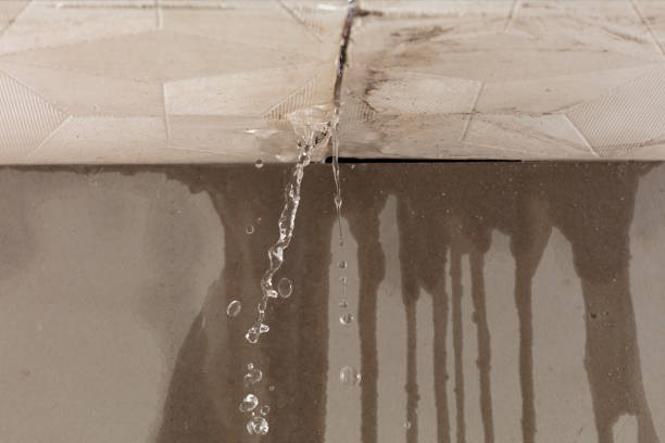 Professional Structural Drying technician working in Newfields, NH